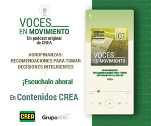 cuadrado prueba 22