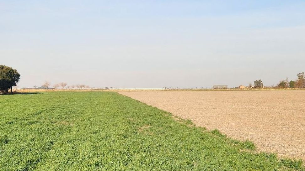 campo.JPG