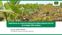 taller malezas dificiles region crea sudeste (1/3): experiencias de la mesa agricola polo sur