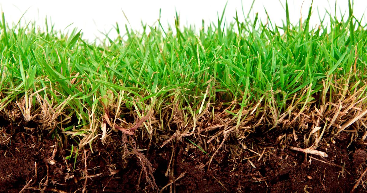 Protocolo para la medición de carbono en suelos