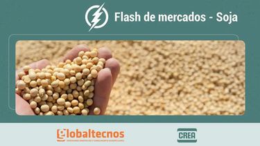 flash de mercados: informe de mercado de granos al 24/10/25 - soja