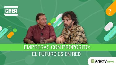 ¡estreno! episodio 7 de crea, una red viva, el podcast del congreso crea 2025: el futuro es en red
