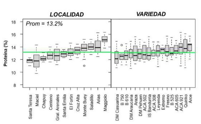 El boxplot de la izquierda muestra la variabilidad de la concentraci&oacute;n de prote&iacute;na obtenida en la red de experimentos ordenados de menor a mayor rendimiento por localidad. La l&iacute;nea roja indica la media de concentraci&oacute;n de prote&iacute;na de la campa&ntilde;a, que fue de 13%. El boxplot de la derecha muestra la variabilidad de la concentraci&oacute;n de prote&iacute;na de cada variedad evaluada en la red de experimentos. La l&iacute;nea verde indica la media de la concentraci&oacute;n de prote&iacute;na.