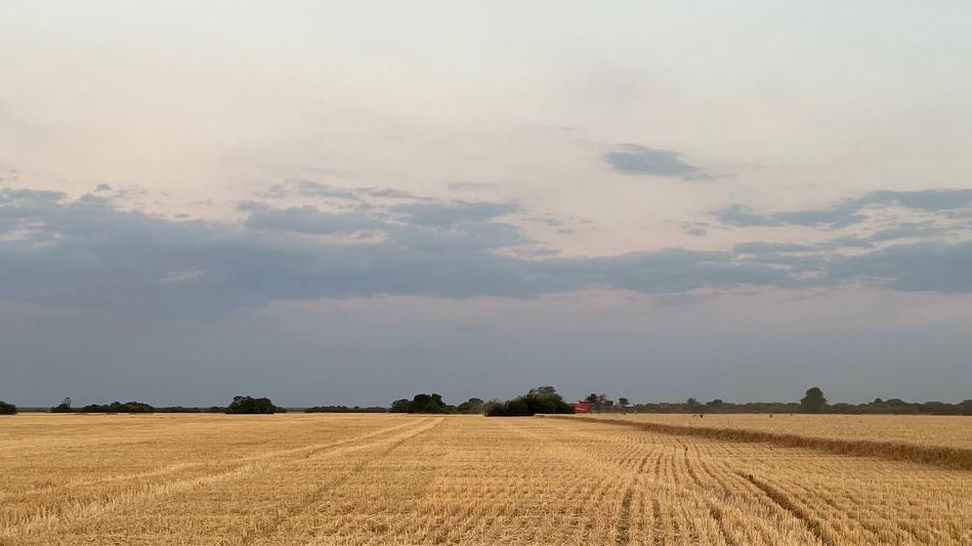 campo