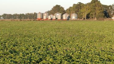 financiamiento de la empresa agropecuaria: criterios macroeconomicos para tener en cuenta