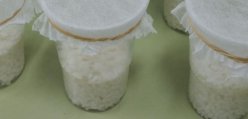 Trampas de arroz