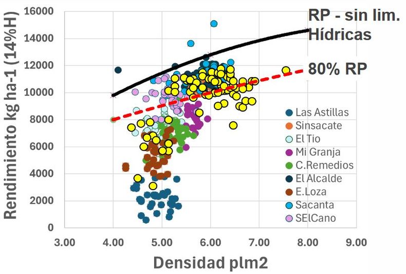  Rendimiento y densidad en maíz en secano. Córdoba Norte 2024/25