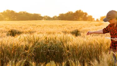 gran logro: 190 empresas ya se sumaron a la gestion ambiental crea