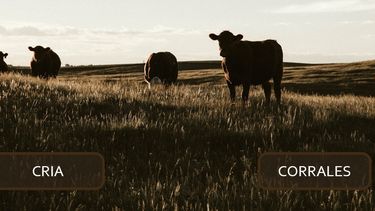 tablero de control para la ganaderia: una herramienta para la toma de decisiones