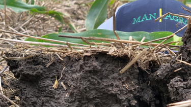 ¿que puede esperarse de la campana agricola 2024/25?