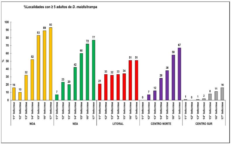 Evolución del porcentaje de localidades para cada región con cantidades ≥ 5 adultos de Dalbulus maidis/trampas. Se detalla los porcentajes para cada quincena correspondiente a los últimos informes de la Red Nacional de Monitoreo de la chicharrita del maíz.