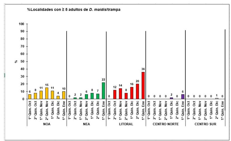 Evolución del porcentaje de localidades para cada región con cantidades ≥ 5 adultos de Dalbulus maidis/trampas. Se detalla los porcentajes para cada quincena correspondiente a los informes de la Red Nacional de Monitoreo de la chicharrita del maíz.