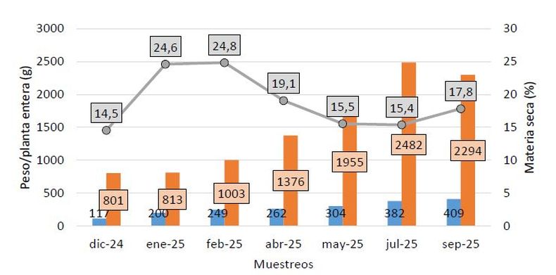Evolución del peso fresco por planta (PF), contenido de material seca (MS), peso seco por planta (PS) y contenido de proteína bruta (PB) en el sitio Ventania.