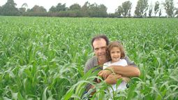 productor y asesor crea: una vision integrada