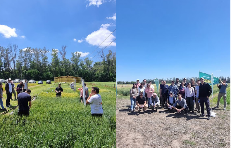 Gira agronómica 2025/26 CREA Sur de Santa Fe