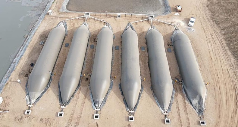 Biodigestores