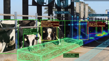 Inteligencia artificial para la empresa agropecuaria: aplicaciones concretas para principiantes