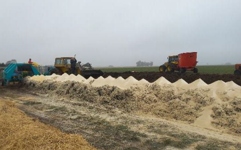 Producci&oacute;n de extractos de compost en base a residuos de cosecha.