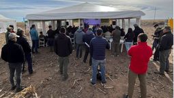 maiz en la region semiarida: un desafio con resultados sorprendentes para los ensayos crea