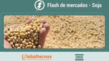 Flash de mercados soja Globaltecnos + CREA 9 de octubre 2026&nbsp;
