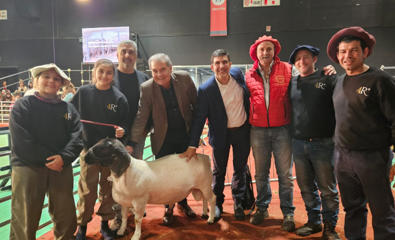 Reservado Gran Campeón Macho de la raza Dorper en la Expo Rural de Palermo 2023