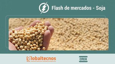 Flash de mercados 15/1172025
