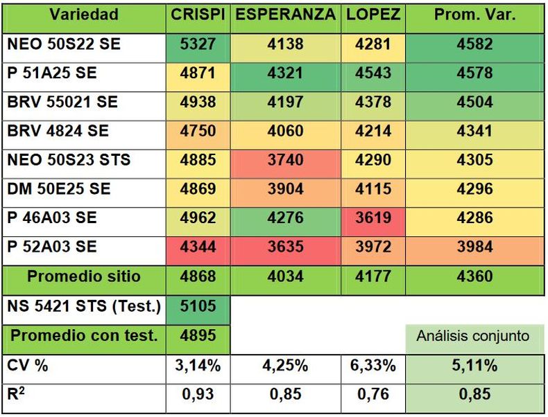 Rendimiento ajustado a 13,5% humedad de grupos de madurez IV y V en tres sitios de ensayo en conjunto.