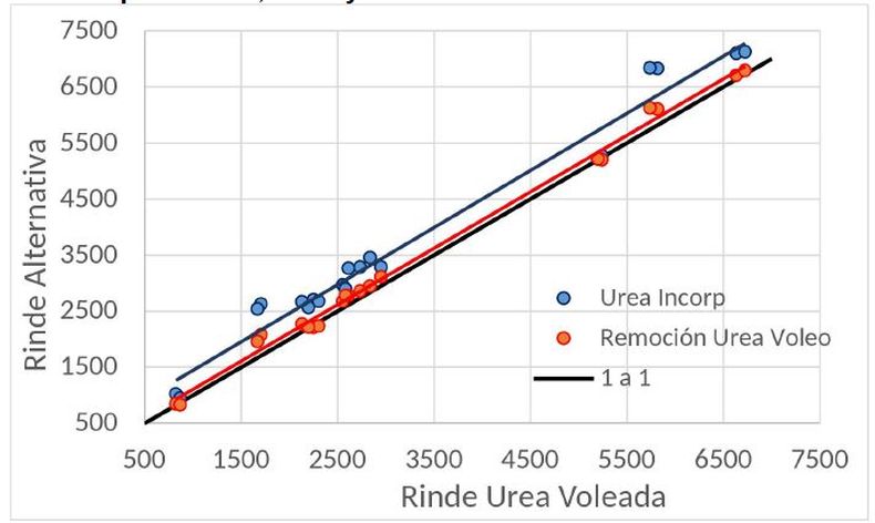 Rendimiento de los tratamientos con urea incorporada y remoción en función del rendimiento de urea voleada