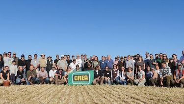 Crea | crea