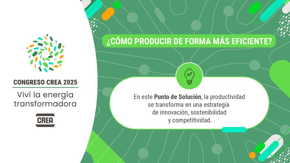 banner contenidos crea cc2025-01