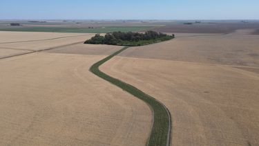 corredores biologicos para promover los servicios ecosistemicos agro
