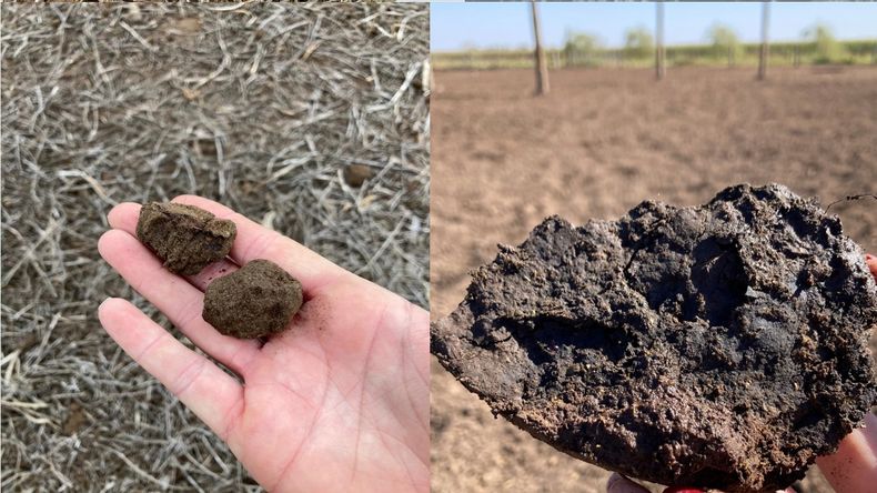 Tamaño de partícula de estiércol compostado (izquierda) y sin compostar, apilado (derecha)