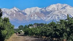 biodiversidad: asi avanza inbioagro en la region crea valles cordilleranos