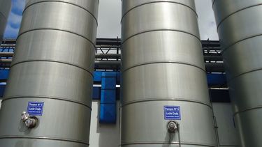 lecheria: senales de una demanda urgida por mantener su cuota de mercado