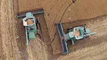 una familia empresaria apasionada por el arroz y los nuevos desafios