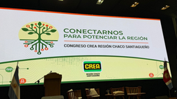 crea chaco santiagueno: el despertar de la vaca viva