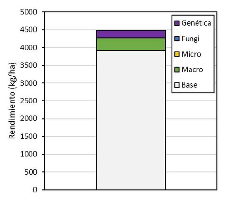 Rendimiento potencial, rendimiento actual y factores causantes de la brecha en trigo en Trenque Lauquen (2024/25)