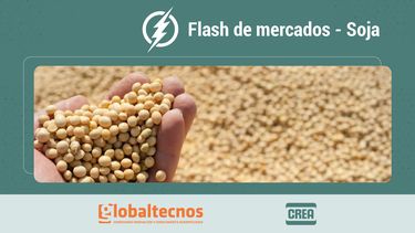 flash de mercados: informe de mercado de granos al 14/08/25 - soja