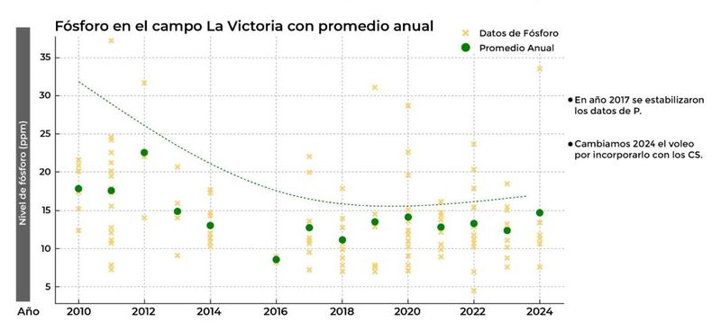 Evoluci&oacute;n del nivel de f&oacute;sforo (P) en el suelo. Muestras por sector y promedio anual. La Victoria. CRE Oeste Arenoso.
