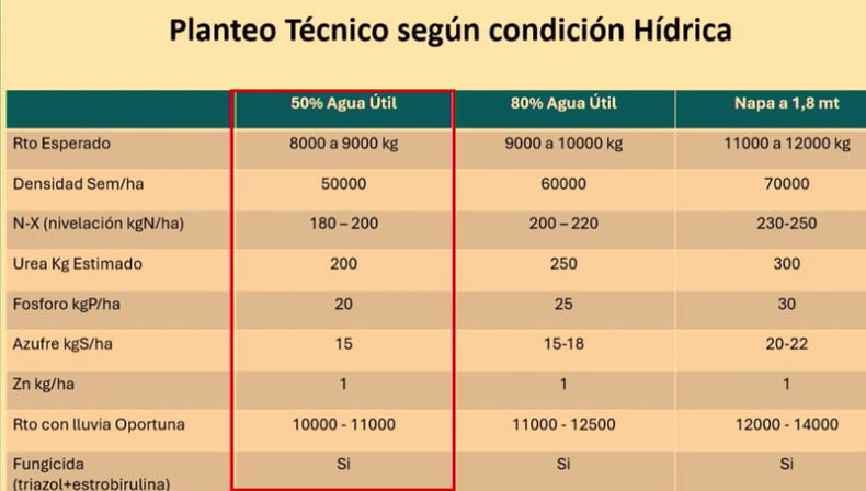 Modelos de planteos técnicos de maíz temprano según condición hídrica. CREA Sur de Santa Fe.