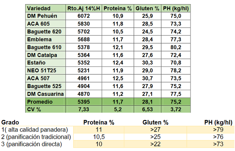 Ensayo en Grutly Norte (ciclo intermedio). Resultados de calidad ordenados según ranking de rendimiento de grano. CV%: coeficiente de variación de la muestra. Rendimiento ajustado con un 14% de humedad. Peso hectolítrico expresado en kg/hl
