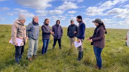 la certificacion de carbono, paso a paso