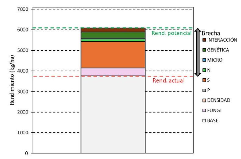 Brecha de rendimiento y peso de cada factor sobre la brecha en trigo en el sitio de Agustoni (2025/26).