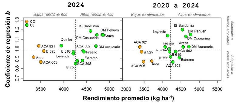 Relaci&oacute;n entre el grado de estabilidad/adaptabilidad de un genotipo y su rendimiento promedio a trav&eacute;s de la red de ensayos. El grado de estabilidad/adaptabilidad se obtuvo a partir de la pendiente entre el rendimiento del genotipo y el &iacute;ndice ambiental. El gr&aacute;fico de la izquierda muestra el an&aacute;lisis con datos de la campa&ntilde;a 2024. El gr&aacute;fico de la derecha muestra el an&aacute;lisis con datos de las campa&ntilde;as 2020 a 2024.
