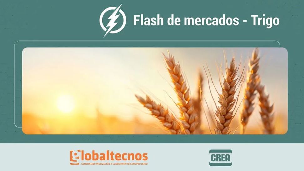 Portada flash de mercados trigo
