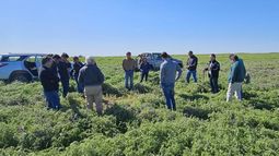transicion generacional: un cambio de paradigma que debe ser gestionado