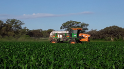 agricultura por ambientes: un caso practico en el noa