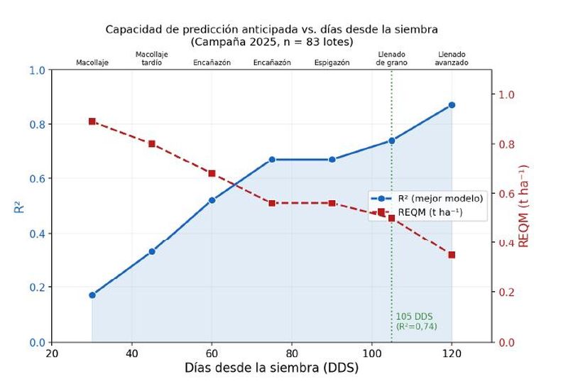 Evolución de la capacidad predictiva del modelo (R² y error típico) en función de los días transcurridos desde la siembra. Campaña 2025/26 (n = 83 lotes). El eje superior indica el estadio fenológico predominante en cada momento. La línea punteada verde marca los 105 días desde la siembra, punto óptimo de predicción anticipada (R² = 0,74, error típico = 500 kg/ha).