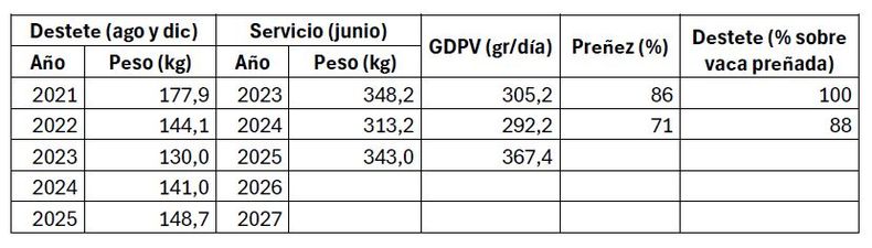 Resultados productivo en el rodeo de vaquillonas del Campo Anexo INTA Chacharramendi