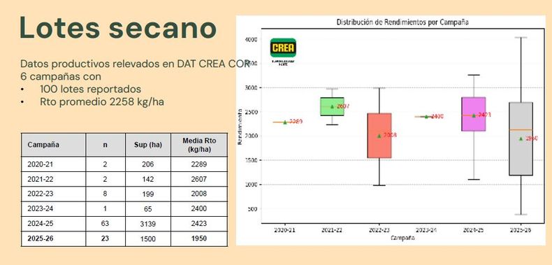 Evolución de la superficie y rendimiento de girasol en la región CREA Córdoba Norte